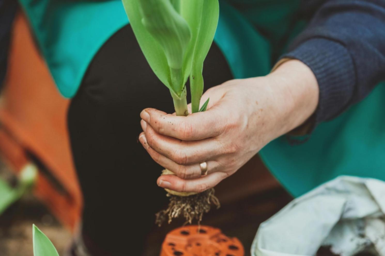 Student working on a structured floral arrangement during class