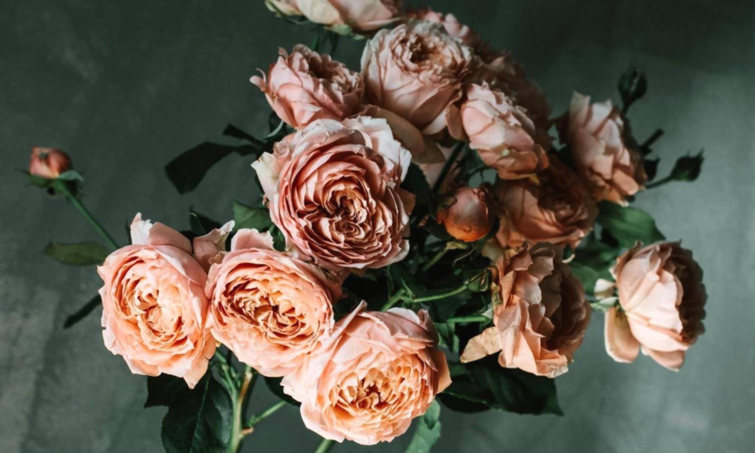 Variety of seasonal blooms prepared for arrangement study